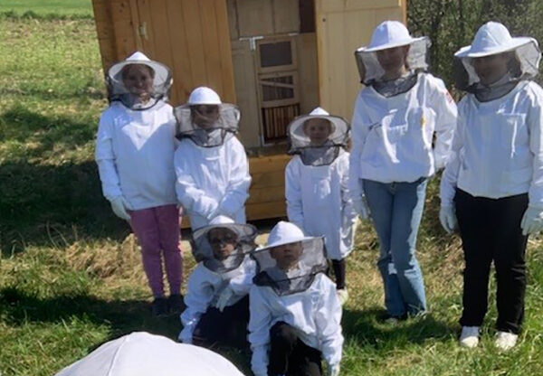 Učni čebelnjak PRVA Čebela, ČD Šmarje pri Jelšah